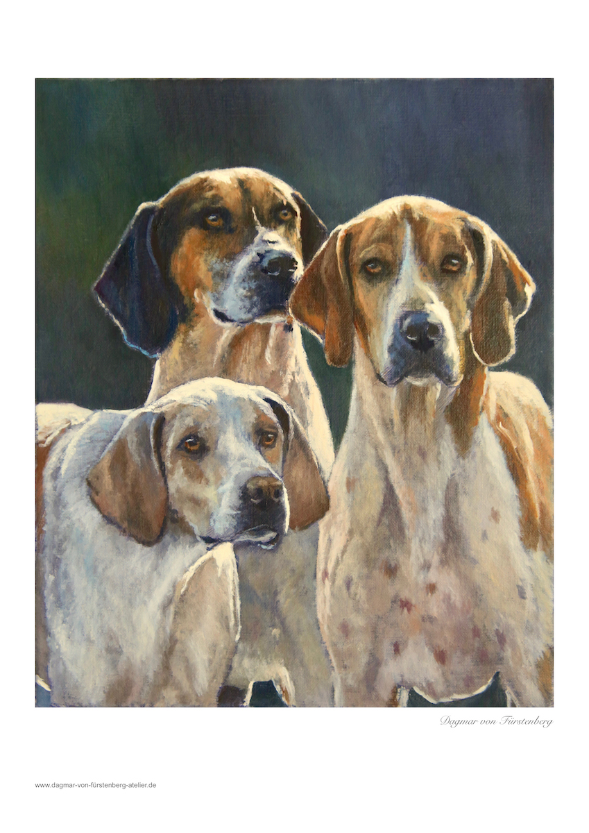 3 Foxhounds